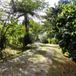 Chácara à venda com 4 suítes em Monte Alegre, Vinhedo, SP