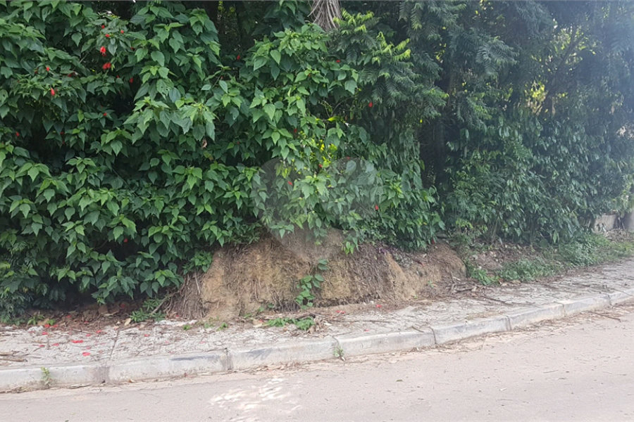 Terreno à venda em Serra da Cantareira, Mairiporã, SP