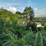 Terreno à venda em Jardim São Bento, São Paulo, SP