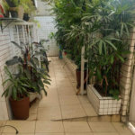 Casa com 3 dormitórios à venda, 110 m² por R$ 590.000,00 - Jardim Paraíso - São Vicente/SP