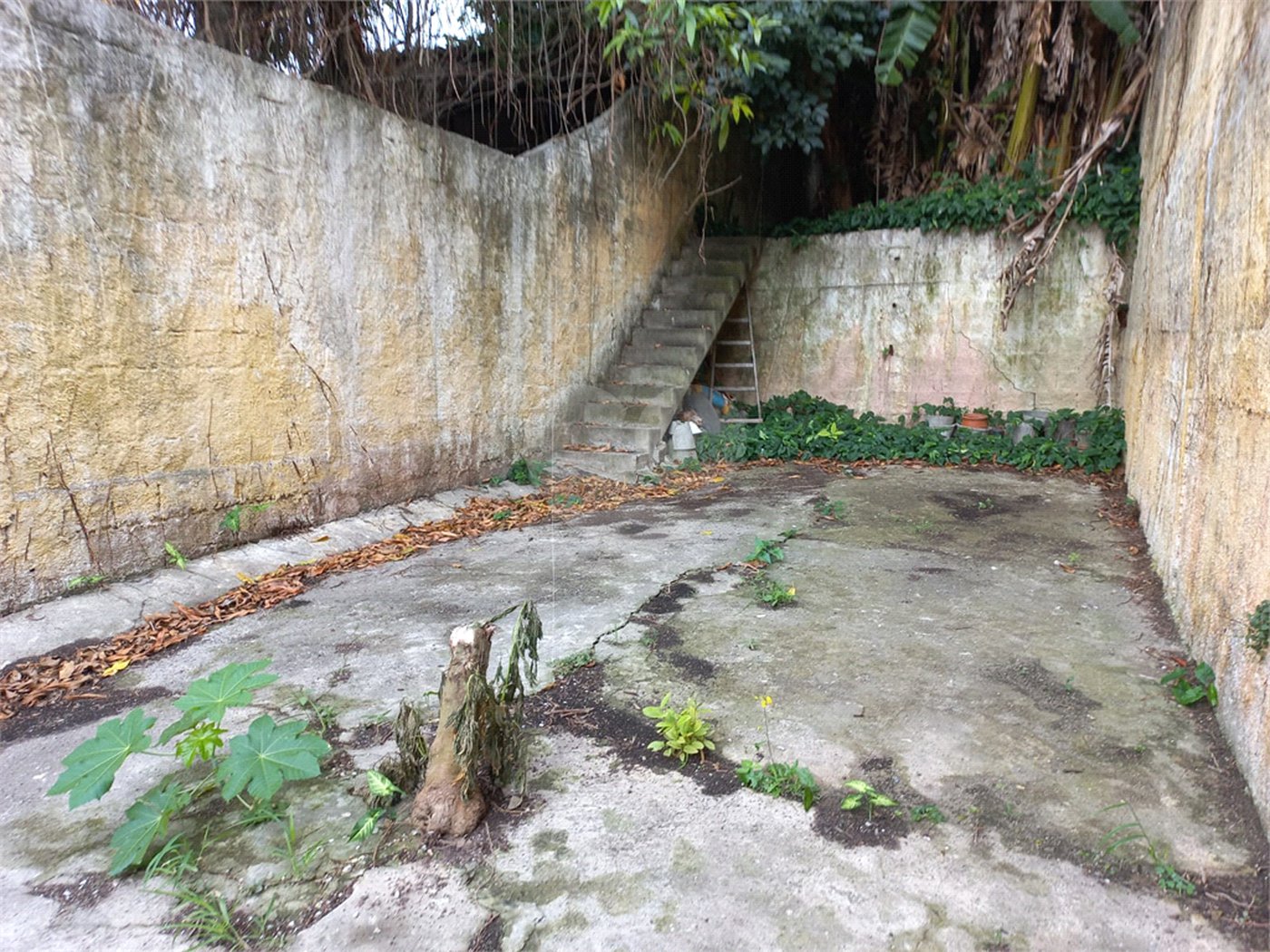 Casa à venda com 2 quartos em Vila Mazzei, São Paulo, SP