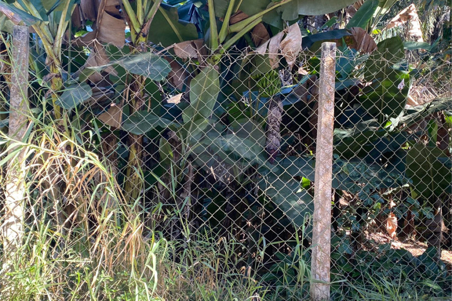Terreno à venda em Luiz Fagundes, Mairiporã, SP