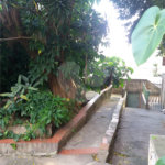 Terreno à venda com 3 quartos em Vila Guilherme, São Paulo, SP