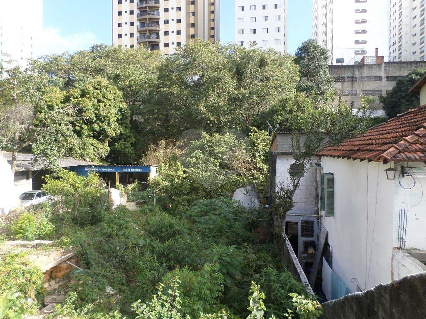 Terreno à venda ou para alugar em Água Fria, São Paulo, SP