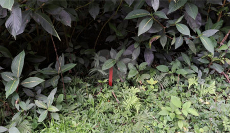 Terreno à venda no condomínio Campos de Mairiporã Gleba 1, Mairiporã - SP