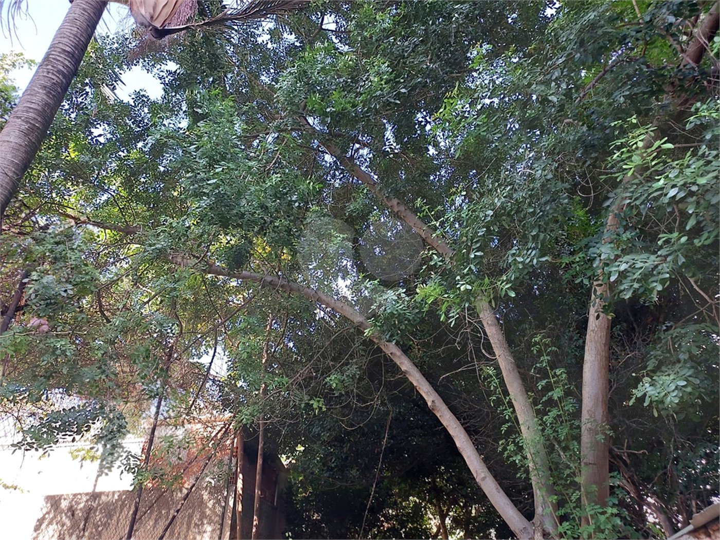 Terreno à venda ou para alugar em Perdizes, São Paulo, SP