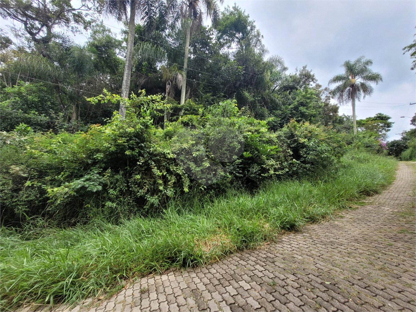 Terreno à venda em Serra da Cantareira, Mairiporã, SP