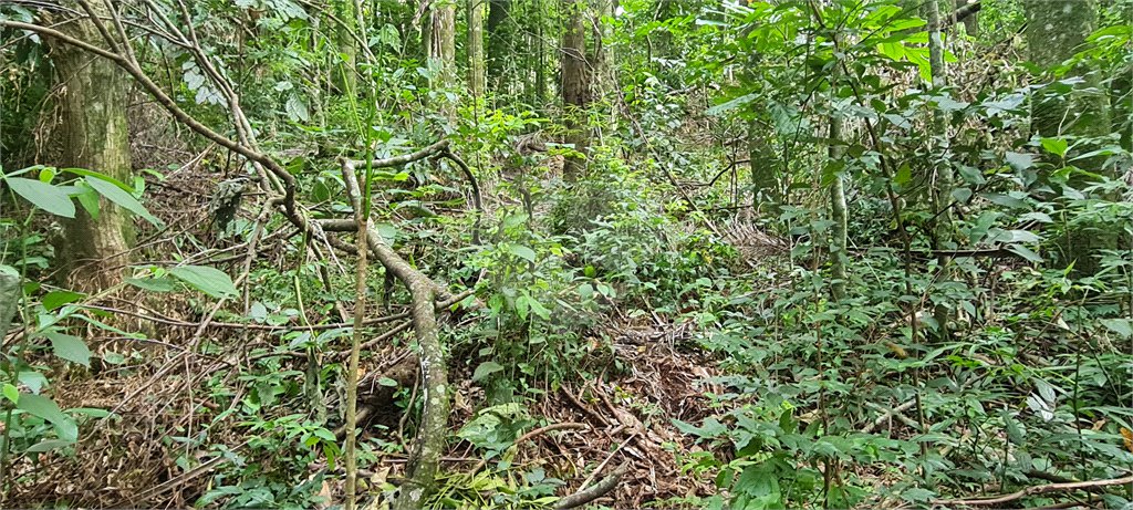 Terreno à venda em Caraguatá, Mairiporã, SP