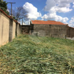 Terreno à venda em Jardim Novo Campos Elíseos, Campinas, SP