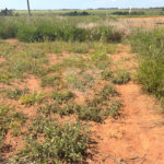 Terreno à venda em Loteamento Residencial Lisboa, Itapetininga, SP