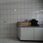 Sobrado à venda com 3 quartos em Vila Lageado, São Paulo, SP