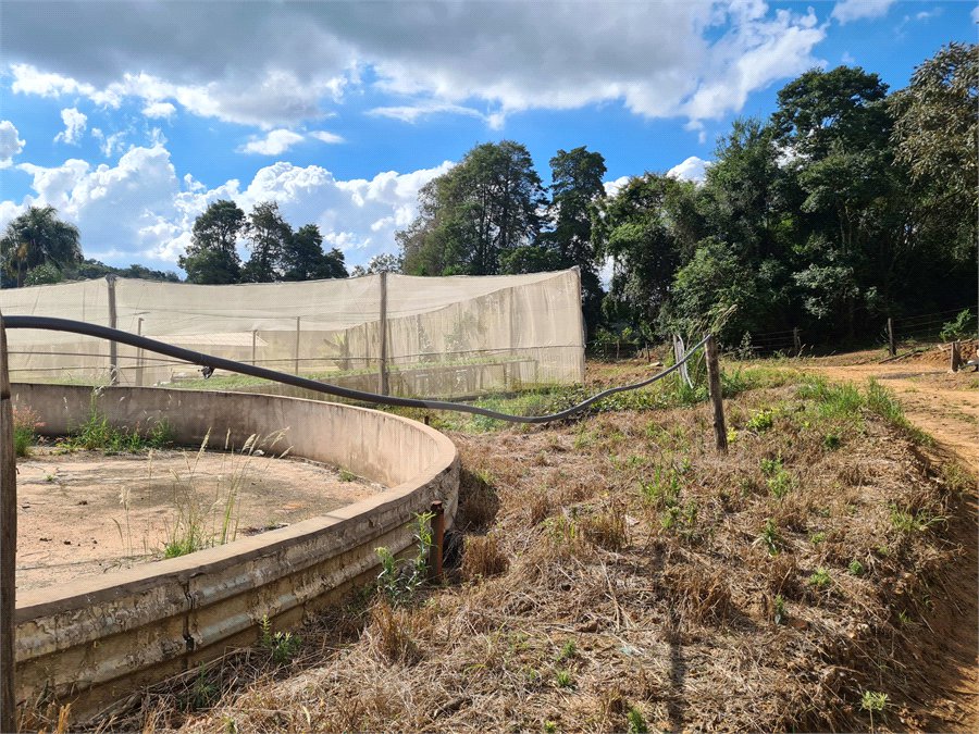 VENDA SÍTIO 48 hectares com estruura para granja, hidroponia e gado