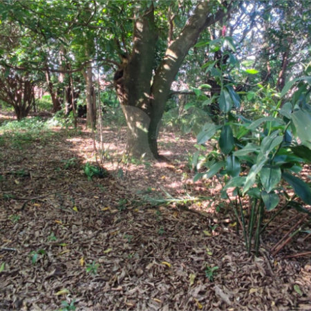 Terreno Residencial/Comercial - Chácara Parque Club