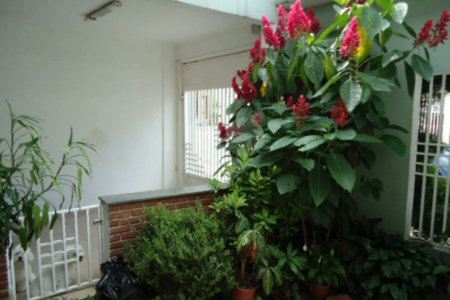 Sobrado à venda com 3 quartos, sendo 1 suíte,  em Tucuruvi, São Paulo, SP