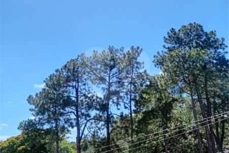 Casa à venda com 3 suítes no condomínio Residencial Jd. Floresta, São Paulo - SP