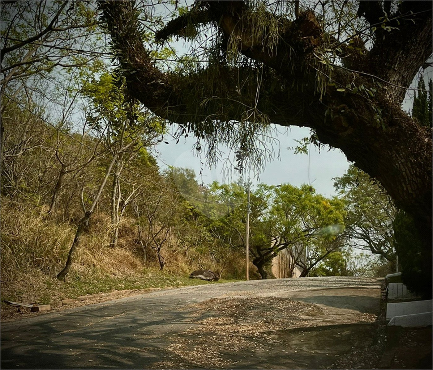 Loteamento à venda em Alpes de Atibaia, Atibaia, SP
