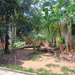 Casa à venda com 5 quartos em Senador Vasconcelos, Rio de Janeiro, RJ