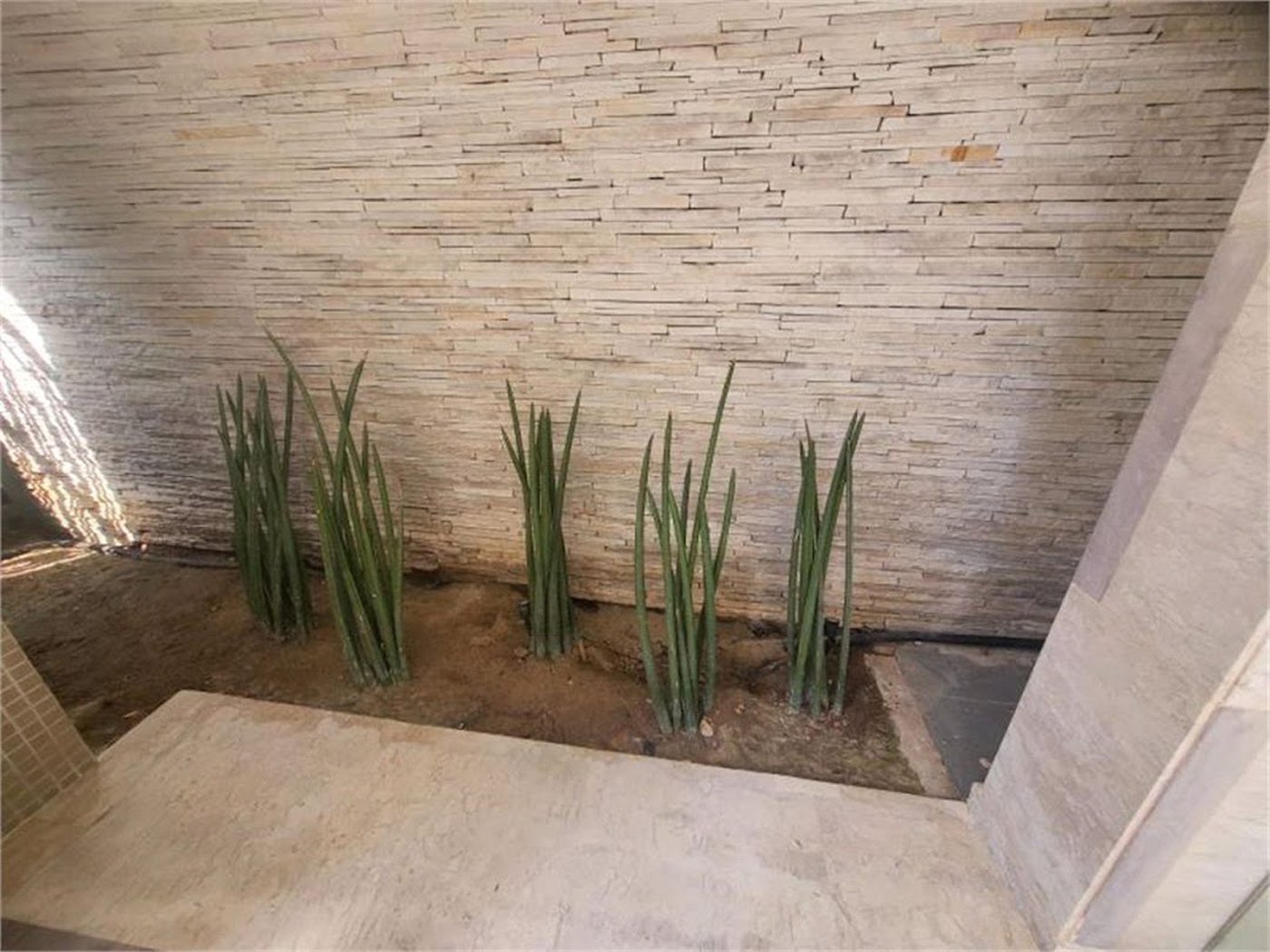 Apartamento Residencial à venda, Gonzaga, Santos - AP1414.