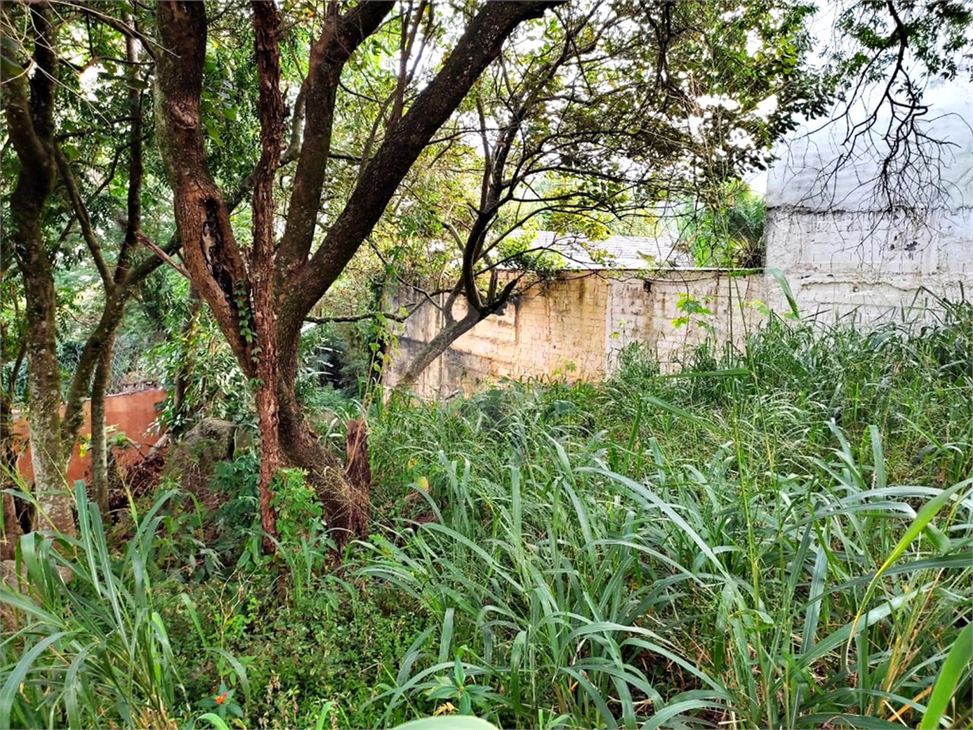 Terreno à venda em Tucuruvi, São Paulo, SP