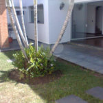 Sobrado à venda com 3 quartos, sendo 1 suíte, em Parque Mandaqui, São Paulo, SP