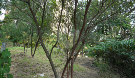 Terreno à venda em Jardim Petrópolis, São Paulo, SP