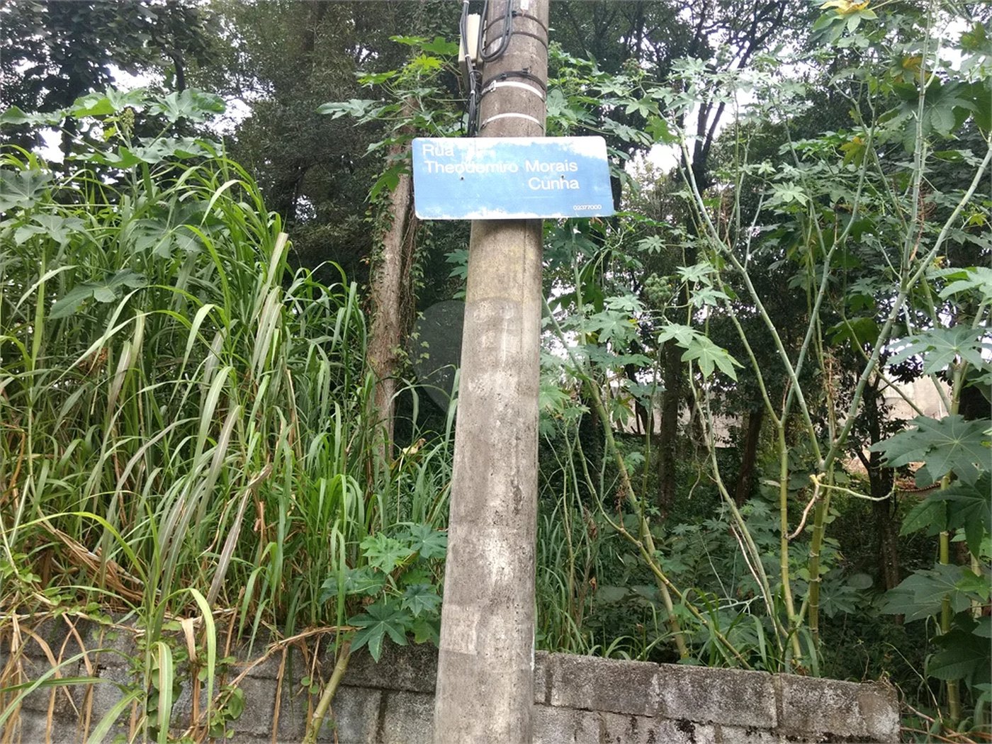 Terreno à venda em Horto, São Paulo, SP