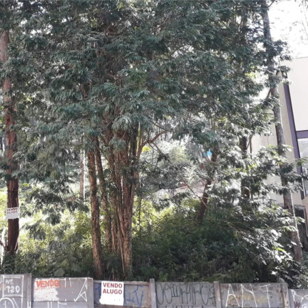 Terreno à venda ou para alugar em Vila Andrade, São Paulo, SP