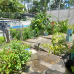Terreno à venda em Tremembé, São Paulo, SP
