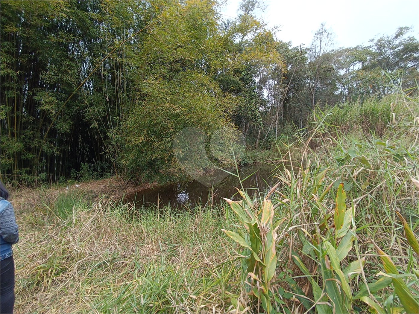 Terreno à venda em Vila Junqueira, São Roque, SP