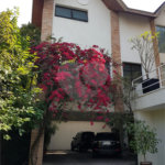 Casa à venda com 3 suítes no condomínio Palm Lane, São Paulo - SP