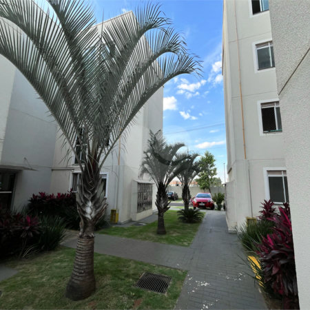 Apartamento à venda no Monte Berlim em São Carlos /SP