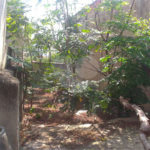 Terreno à venda em Casa Verde, São Paulo, SP