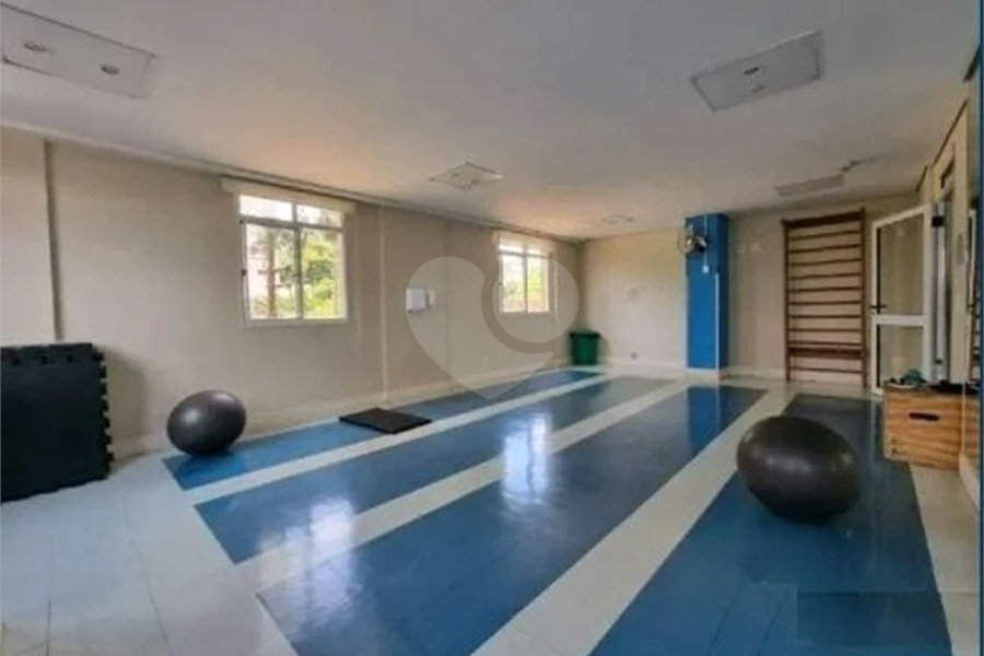 Apartamento à venda com 3 quartos, sendo 1 suíte, em Lauzane Paulista, São Paulo, SP