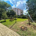 Apartamento para alugar com 2 quartos, sendo 1 suíte, em Vila Polopoli, São Paulo, SP
