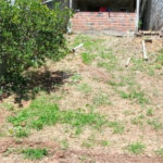 Casa Térrea à venda com 1 quarto em Serra da Cantareira, Mairiporã, SP