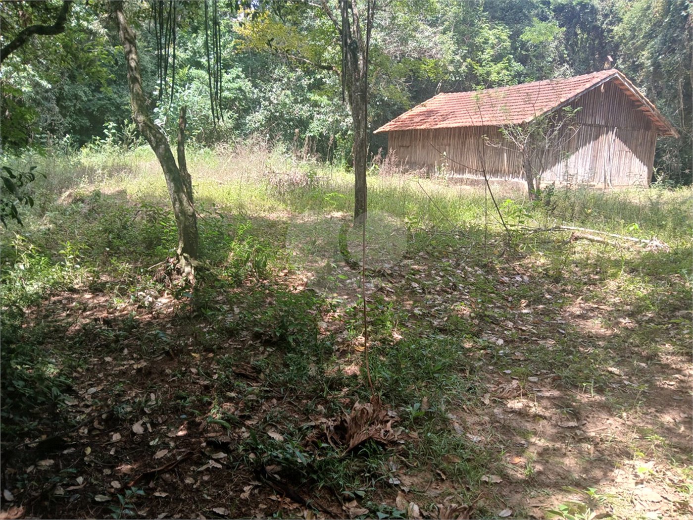Chácara à venda em Bairro Biscoito Duro, Itapetininga, SP