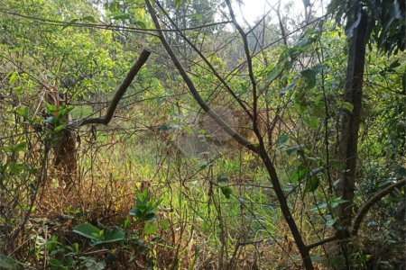 Terreno à venda em Bosque dos Eucalíptos, Atibaia, SP