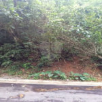 Terreno à venda no condomínio Associação Reserva das Hortênsias, Mairiporã - SP
