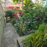 Terreno à venda com 3 quartos em Casa Verde, São Paulo, SP