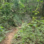 Terreno à venda em Caraguatá, Mairiporã, SP