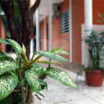 Sobrado à venda com 5 quartos, sendo 3 suítes,  em Santa Teresinha, São Paulo, SP