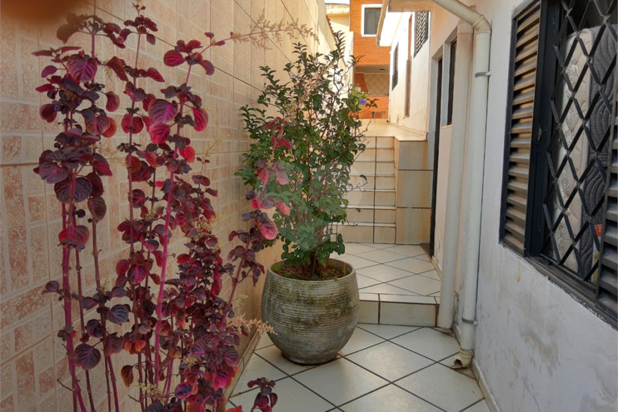 Casa Térrea à venda com 4 quartos, sendo 1 suíte,  em Tucuruvi, São Paulo, SP
