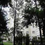 Apartamento à venda com 3 quartos, sendo 1 suíte,  em Mandaqui, São Paulo, SP