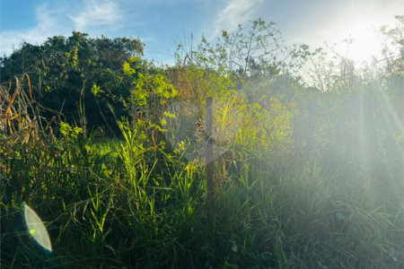 Terreno à venda em Marina, Armação dos Búzios, RJ