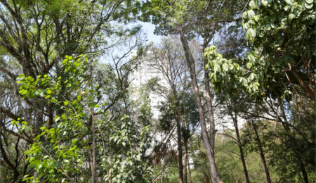 Apartamento à venda com 4 quartos, sendo 2 suítes,  em Lar São Paulo, São Paulo, SP