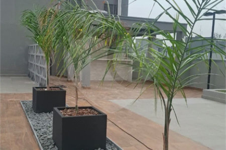 Apartamento à venda com 2 quartos em Vila Gustavo, São Paulo, SP