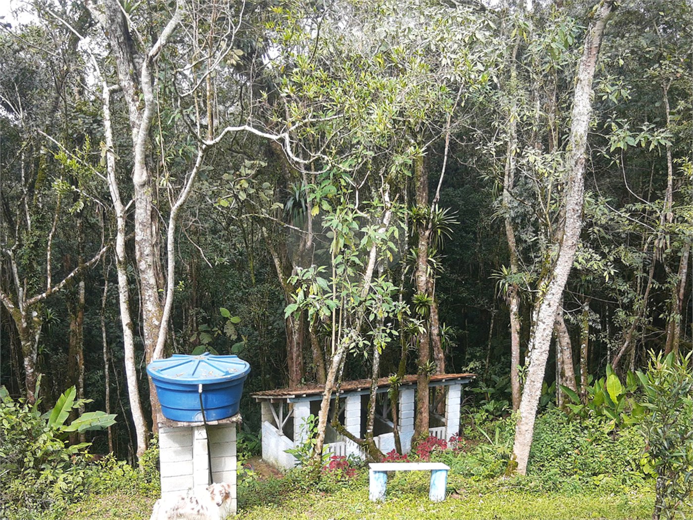 Sítio à venda com 5 quartos, sendo 1 suíte,  em Área Rural de Tapiraí, Tapiraí, SP