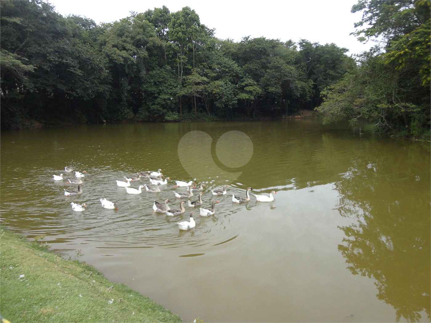 Terreno à venda no condomínio Terras de São Francisco, Vinhedo - SP