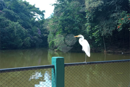 Terreno à venda no condomínio Portal do Lago, Valinhos - SP