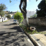 Terreno à venda em Vila São José, Valinhos, SP